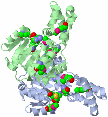 Image Asym./Biol. Unit