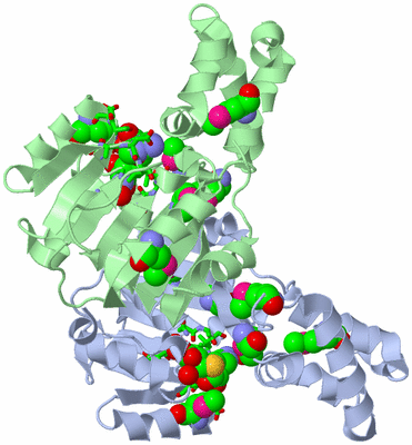 Image Asym./Biol. Unit - sites