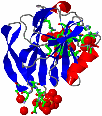 Image Asym./Biol. Unit - sites