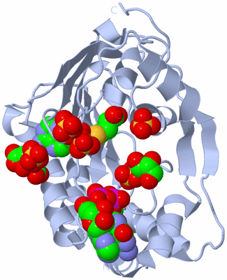 Image Biological Unit 1