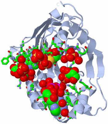 Image Biol. Unit 1 - sites