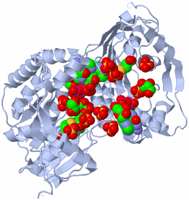 Image Biological Unit 2