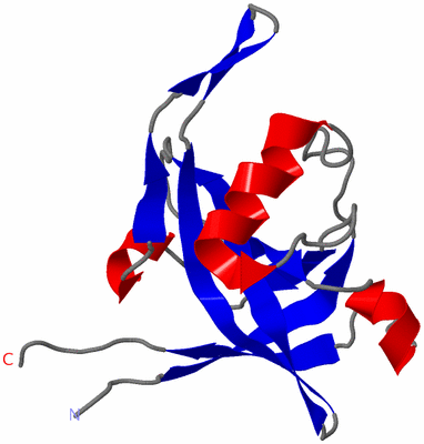 Image NMR Structure - model 1