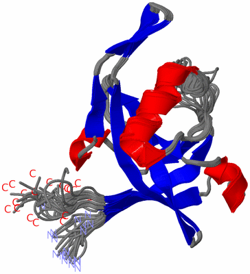 Image NMR Structure - all models