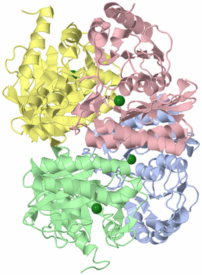 Image Asym./Biol. Unit