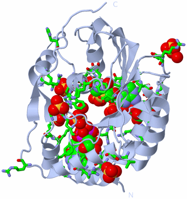 Image Biol. Unit 1 - sites