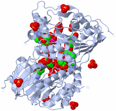 Image Biological Unit 2