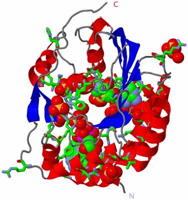 Image Asym. Unit - sites