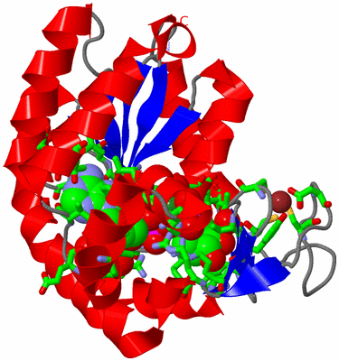 Image Asym./Biol. Unit - sites