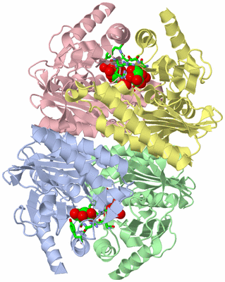 Image Asym./Biol. Unit - sites