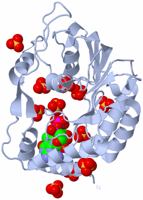 Image Biological Unit 1