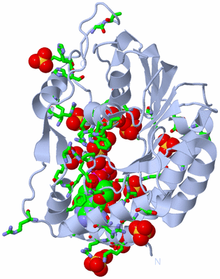 Image Biol. Unit 1 - sites