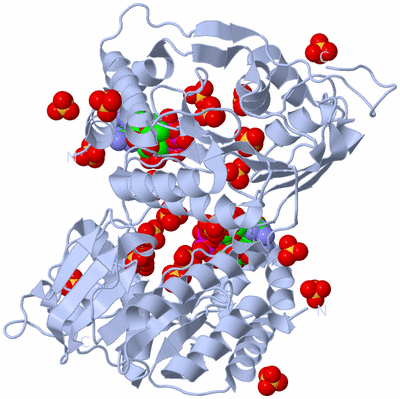 Image Biological Unit 2