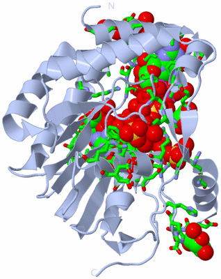 Image Biol. Unit 1 - sites