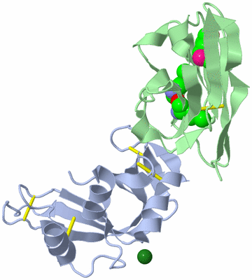 Image Biological Unit 1