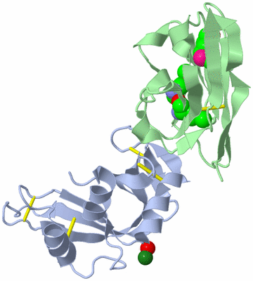 Image Biol. Unit 1 - sites