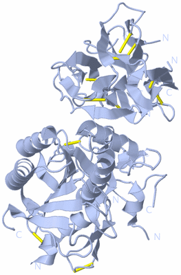 Image Biological Unit 2