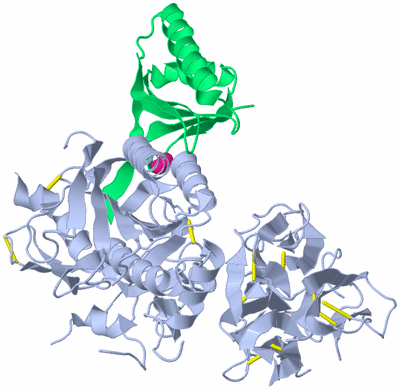 Image Biological Unit 3