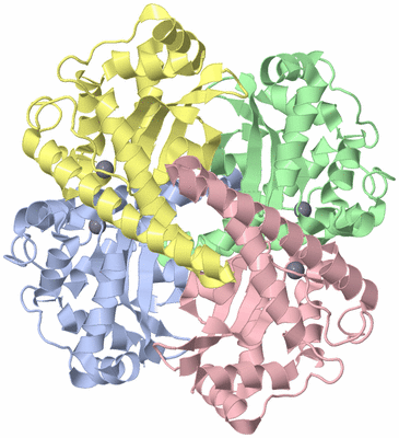 Image Asym./Biol. Unit