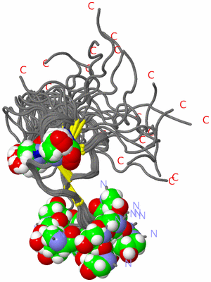 Image NMR Structure - all models