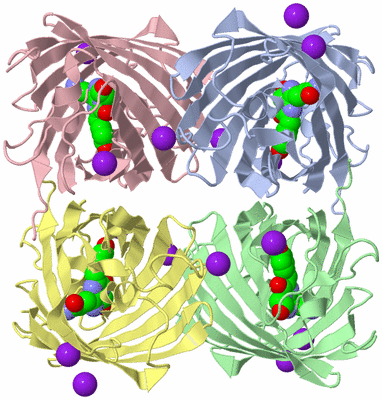 Image Biological Unit 1