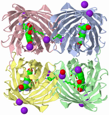 Image Biol. Unit 1 - sites