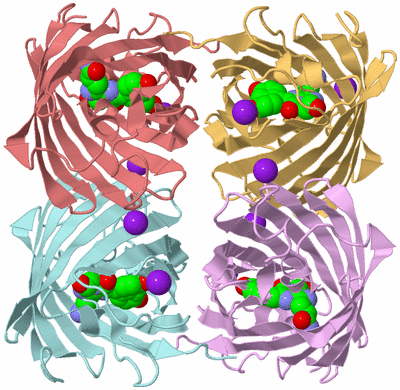 Image Biological Unit 2