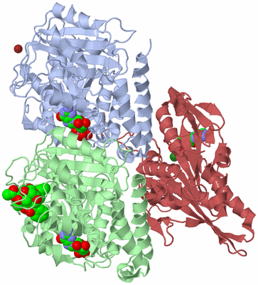 Image Asym./Biol. Unit