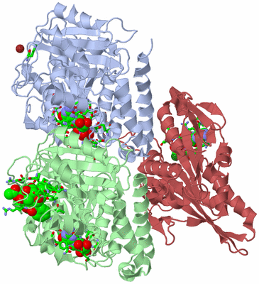 Image Asym./Biol. Unit - sites