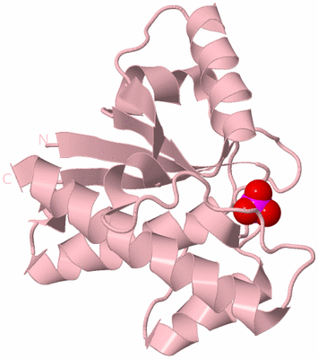 Image Biological Unit 3