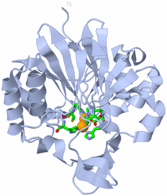 Image Biol. Unit 1 - sites