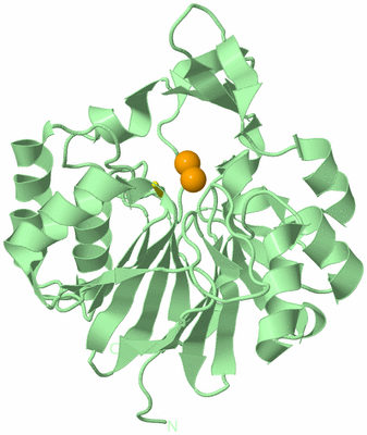 Image Biological Unit 2