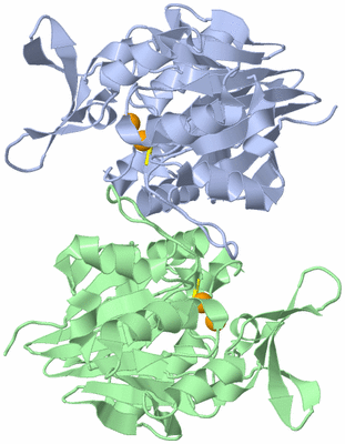 Image Biological Unit 3