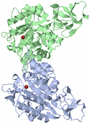 Image Biological Unit 1