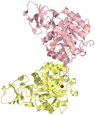 Image Biological Unit 2