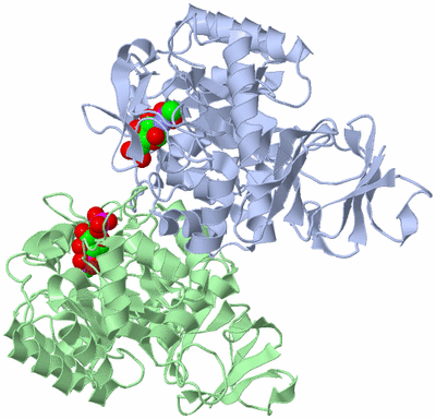 Image Asym./Biol. Unit