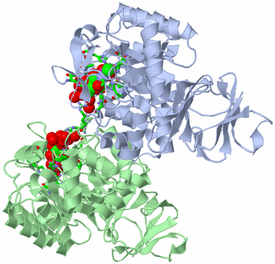 Image Asym./Biol. Unit - sites