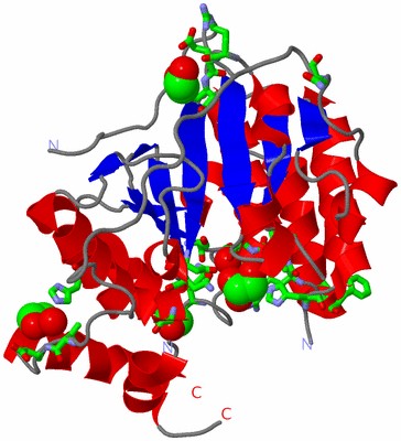 Image Asym. Unit - sites