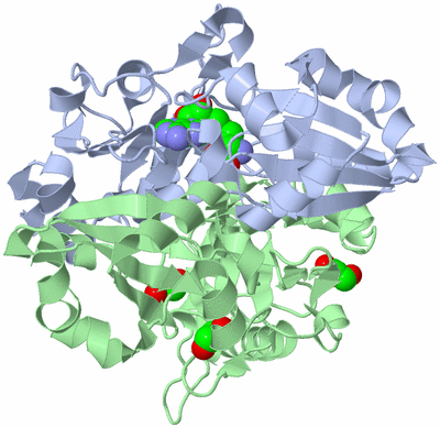 Image Asym./Biol. Unit