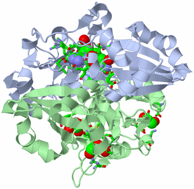 Image Asym./Biol. Unit - sites