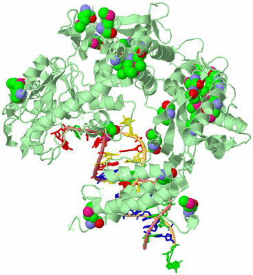 Image Biological Unit 2