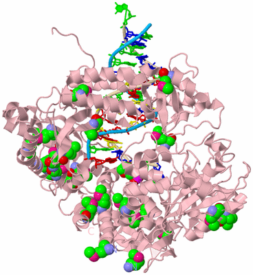 Image Biological Unit 3