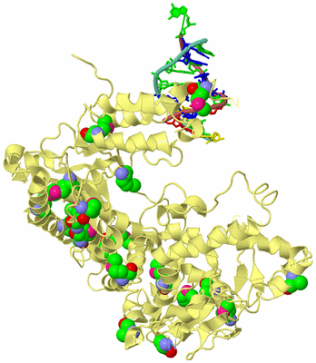 Image Biological Unit 4