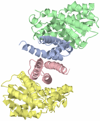 Image Biological Unit 1