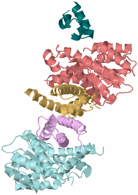 Image Biological Unit 2