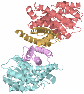 Image Biological Unit 3