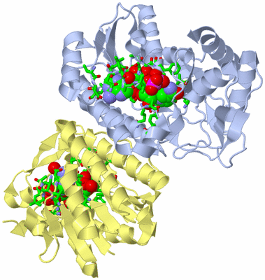 Image Biol. Unit 1 - sites