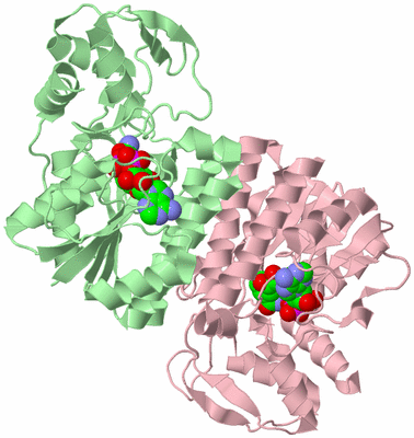 Image Biological Unit 2