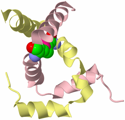 Image Biological Unit 2