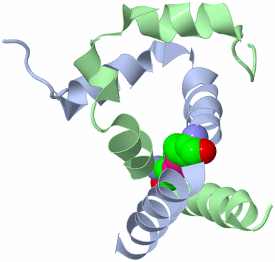 Image Biological Unit 3